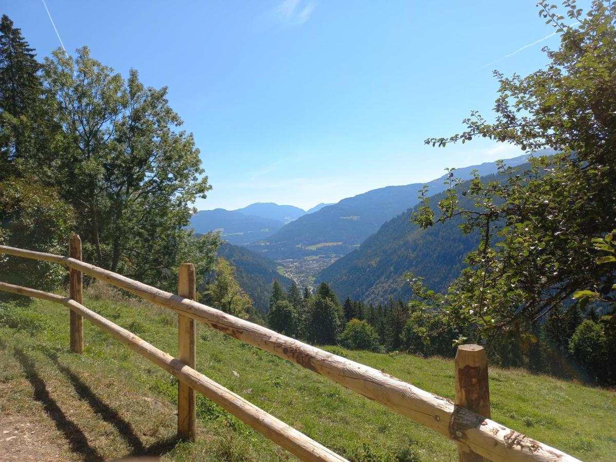 Berghuette Reissnerhof